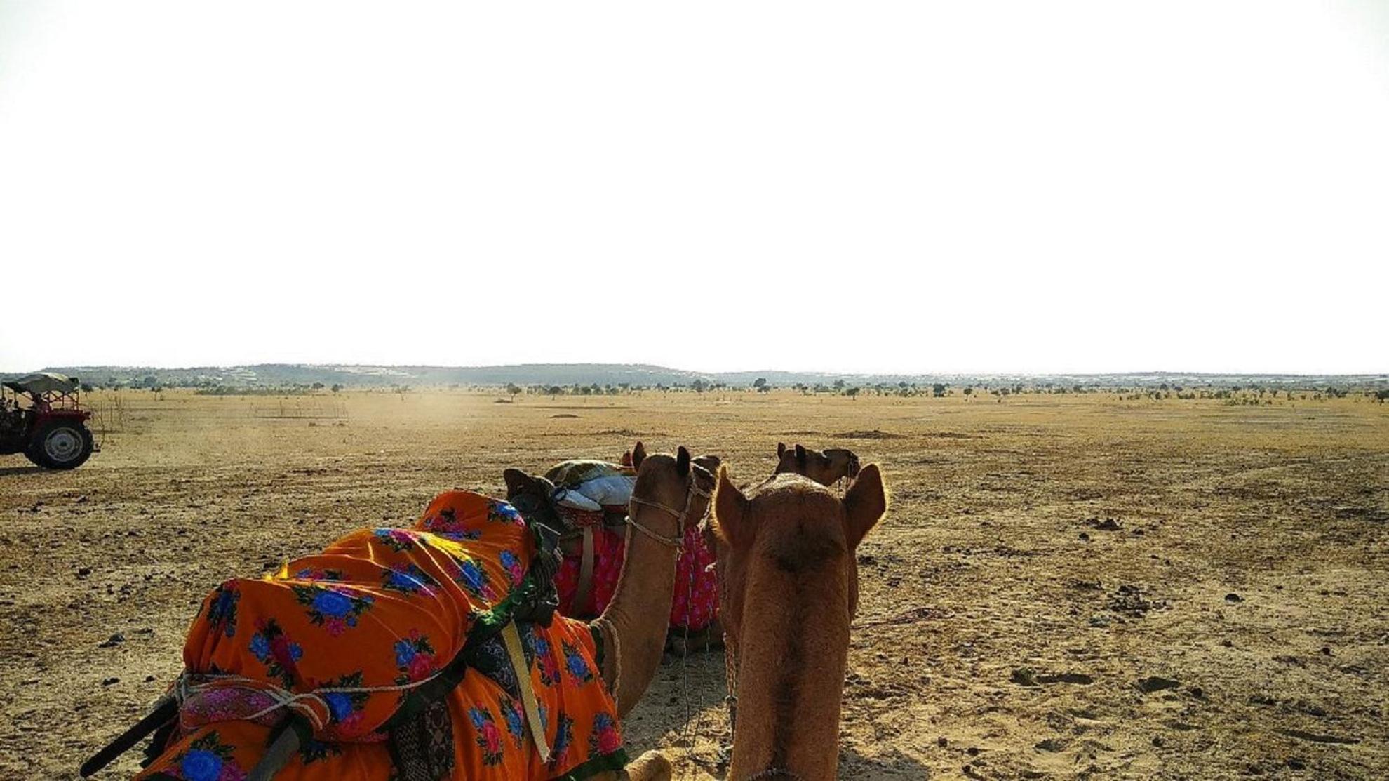 Hotel Surja Jaisalmer Eksteriør bilde